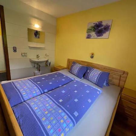 In Im Paznaun 691 Appartement *