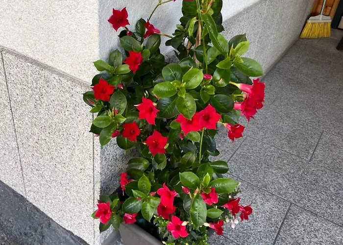 In Im Paznaun 691 アパート *